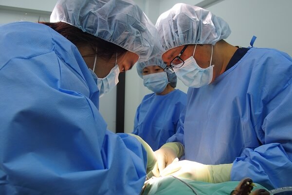 上本町どうぶつ病院の画像12