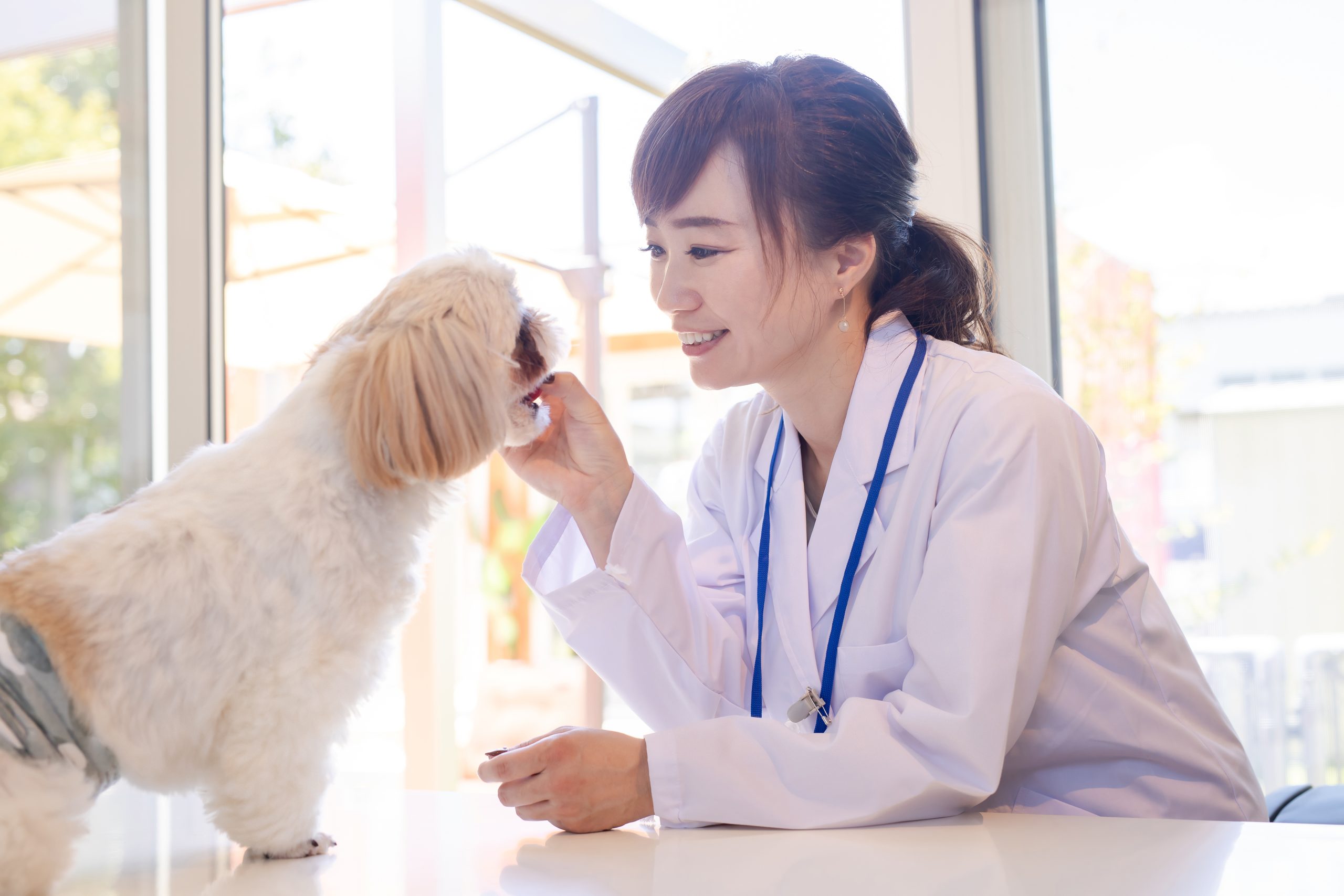 獣医師の時短勤務以外の働き方